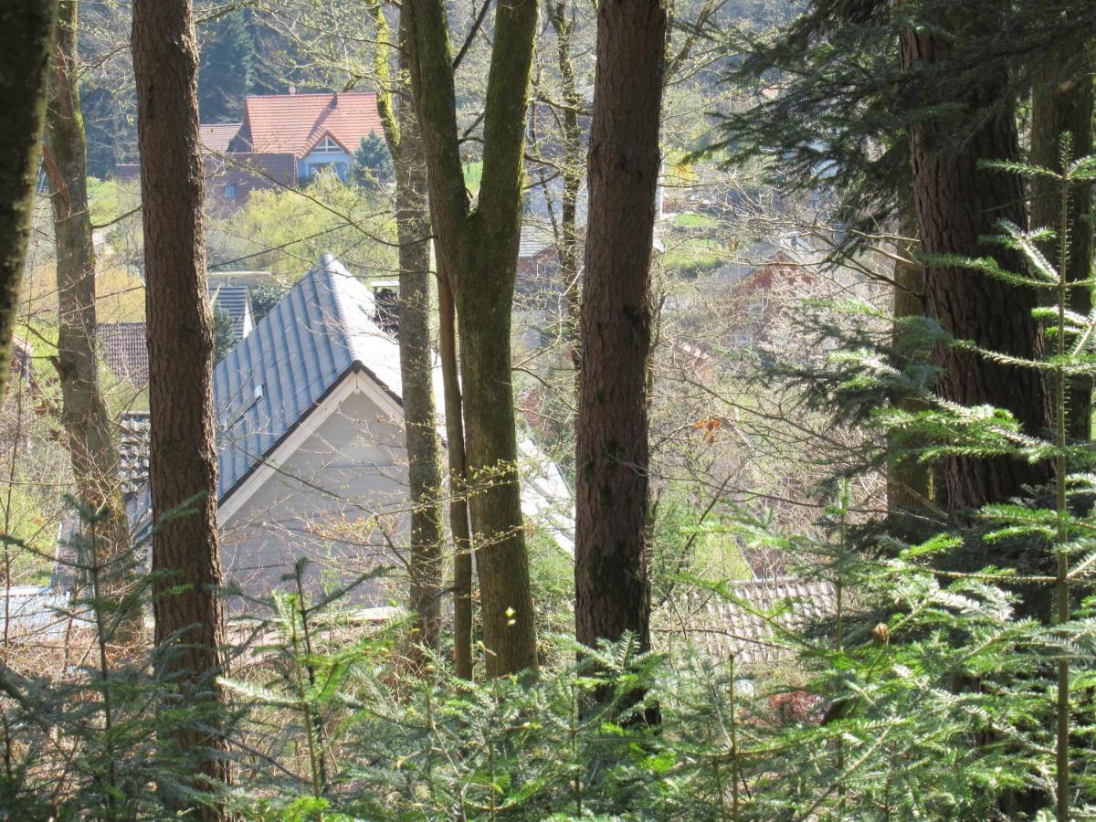 Le Clos D'Aure. Oberhaslach Exterior foto