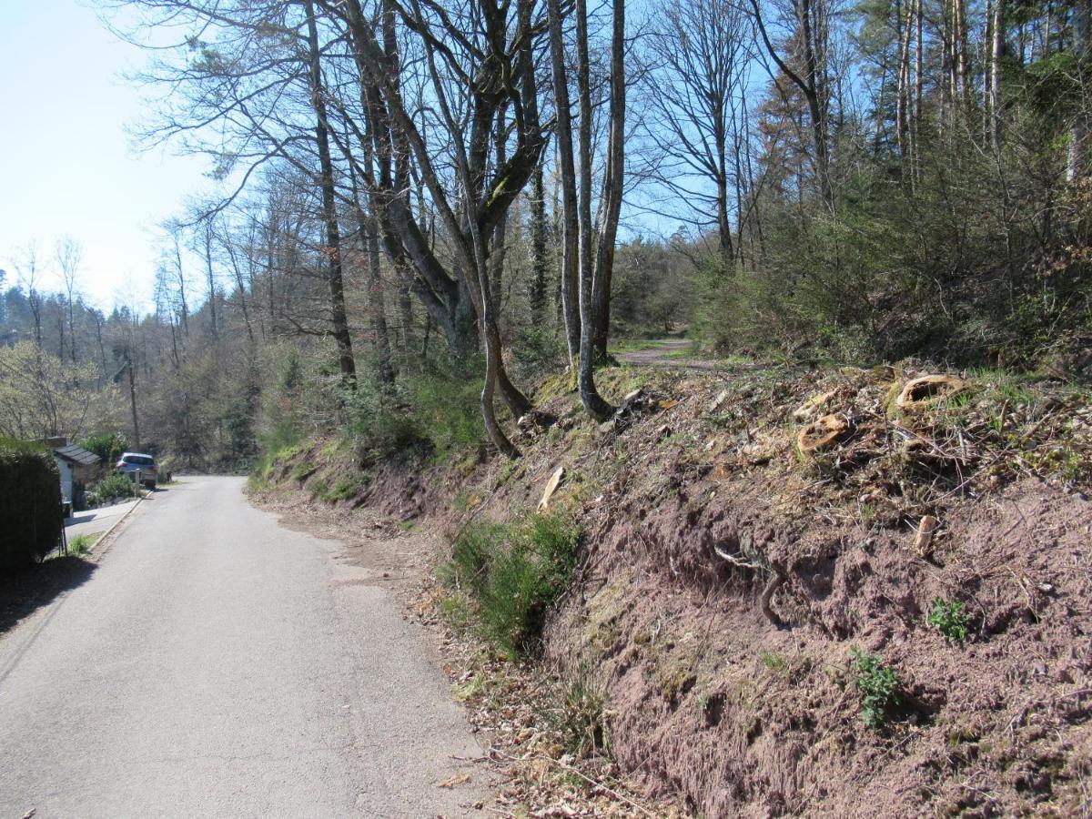 Le Clos D'Aure. Oberhaslach Exterior foto