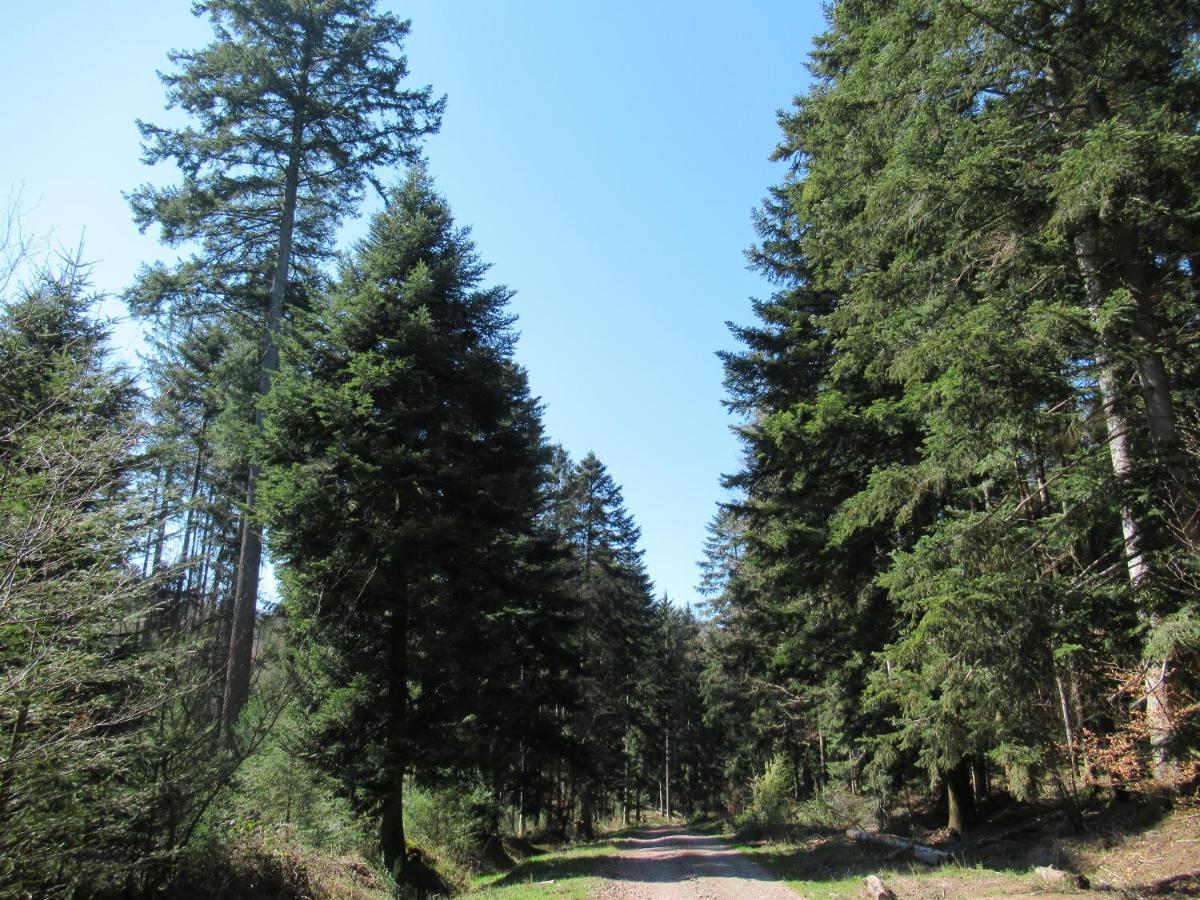 Le Clos D'Aure. Oberhaslach Exterior foto
