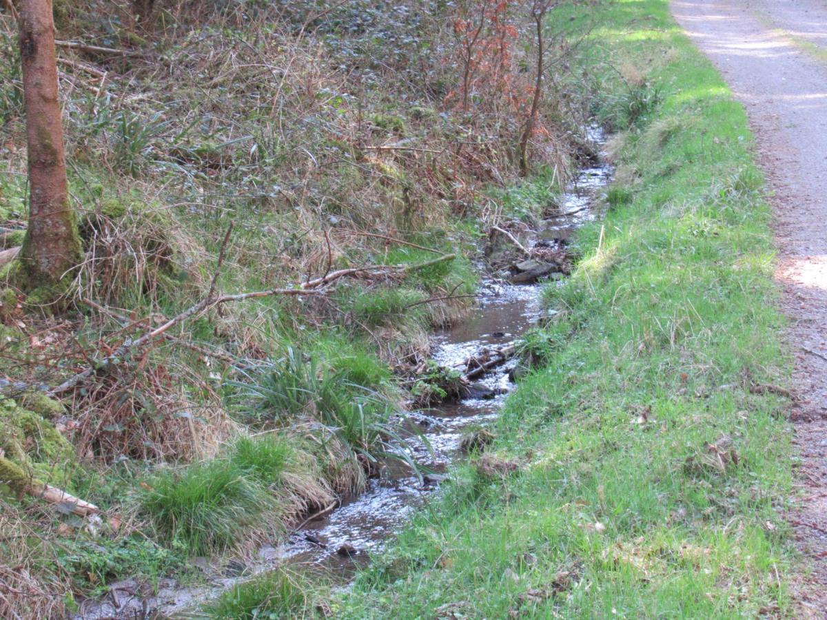 Le Clos D'Aure. Oberhaslach Exterior foto