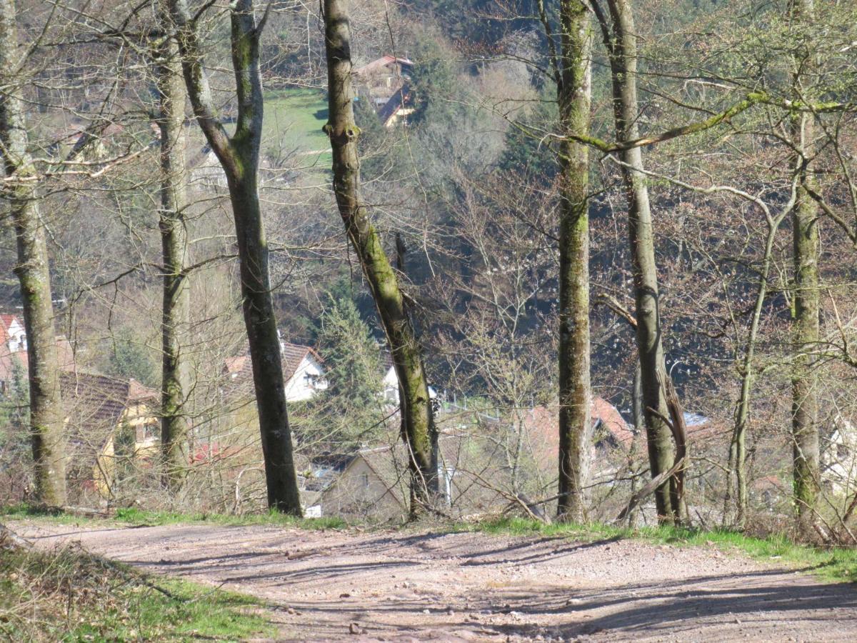 Le Clos D'Aure. Oberhaslach Exterior foto
