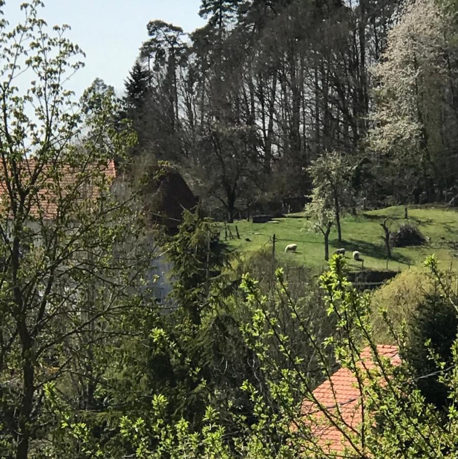 Le Clos D'Aure. Oberhaslach Exterior foto